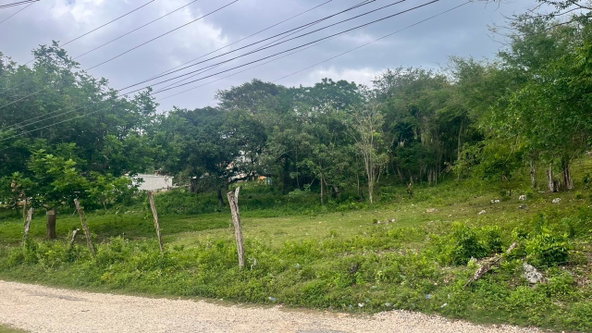 Fifth image of Lot 3- Burnt Ground in Santa Cruz, St. Elizabeth, Jamaica - property is For Sale