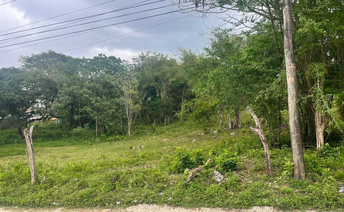 Sixth image of Lot 3- Burnt Ground in Santa Cruz, St. Elizabeth, Jamaica - property is For Sale