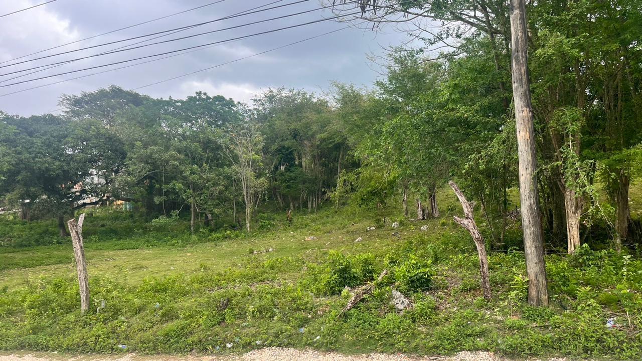 Sixth image of Lot 3- Burnt Ground in Santa Cruz, St. Elizabeth, Jamaica - property is For Sale