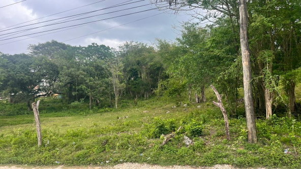 Sixth image of Lot 3- Burnt Ground in Santa Cruz, St. Elizabeth, Jamaica - property is For Sale