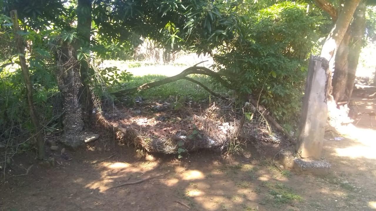 Second image of Burnt Savannah in Frome, Westmoreland, Jamaica - property is For Sale