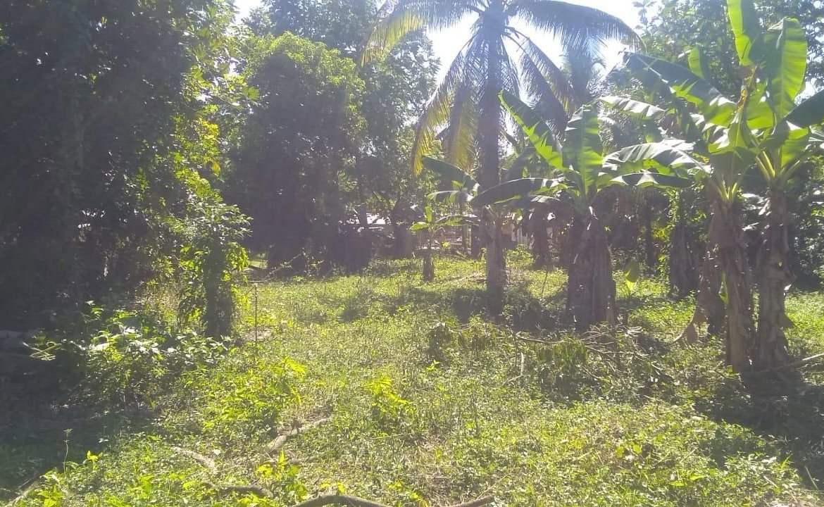 Fourth image of Burnt Savannah in Frome, Westmoreland, Jamaica - property is For Sale