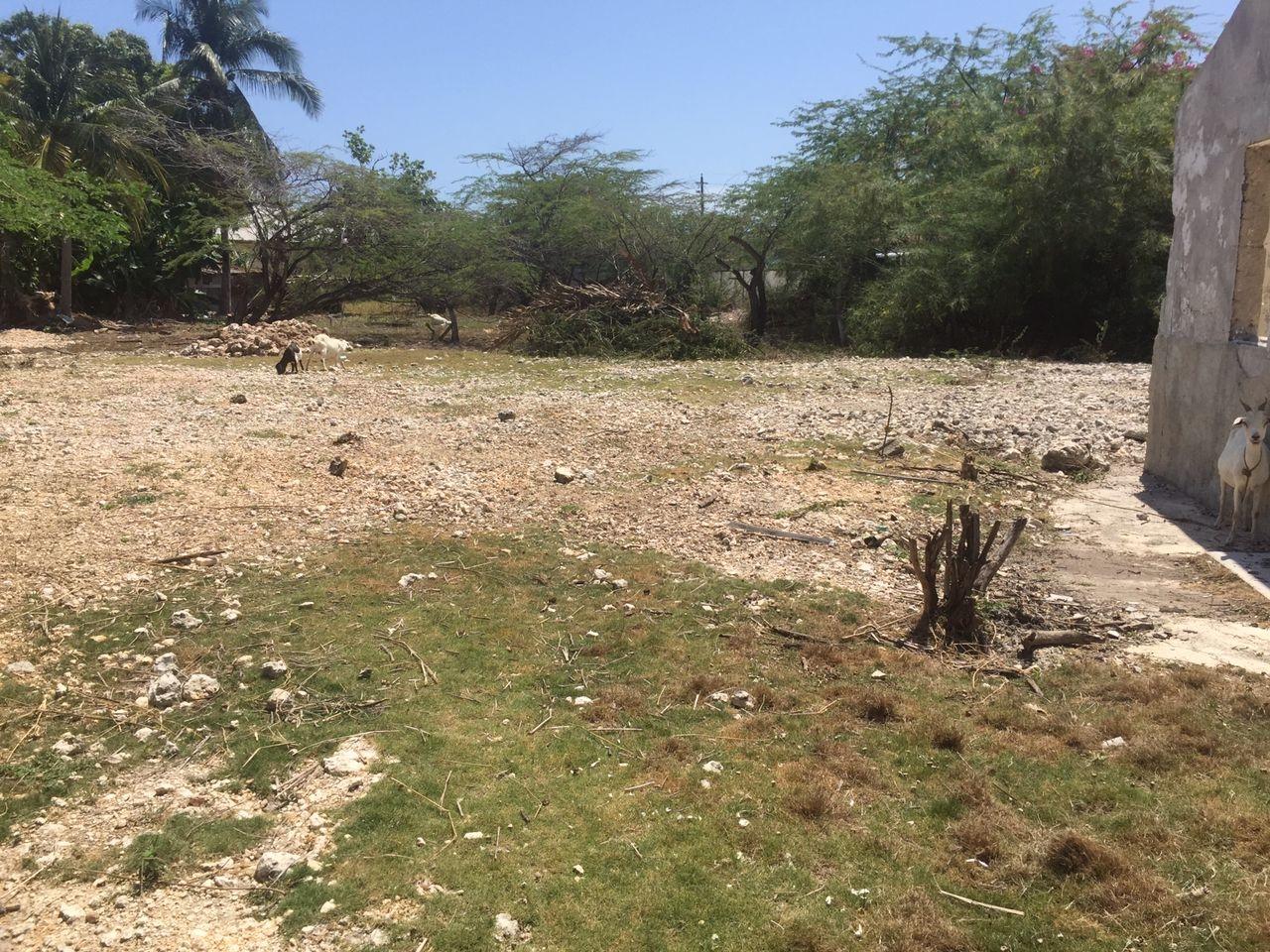 Eighth image of Calabash Bay, Treasure be in Treasure Beach, St. Elizabeth, Jamaica - property is For Sale