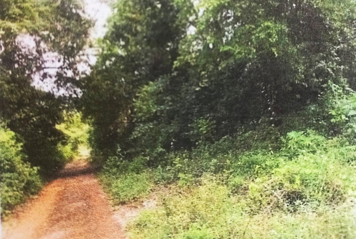 Second image of Lot#145-puie Drive Cardiff Hall, St. Ann in Runaway Bay, St. Ann, Jamaica - property is For Sale