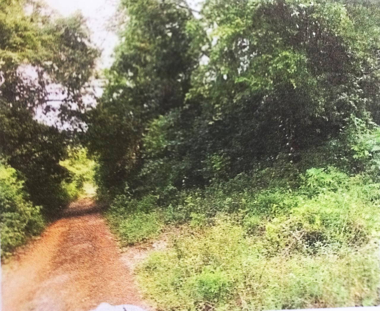 Second image of Lot#145-puie Drive Cardiff Hall, St. Ann in Runaway Bay, St. Ann, Jamaica - property is For Sale