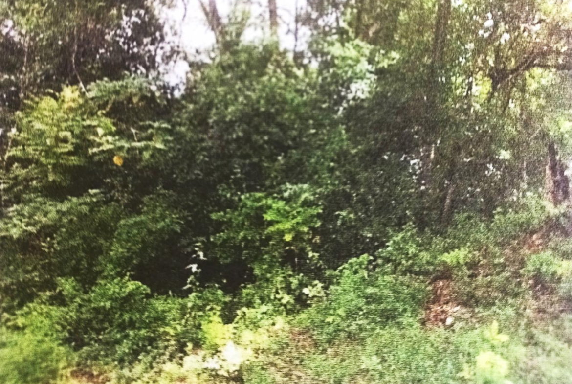 First image of Lot#145-puie Drive Cardiff Hall, St. Ann in Runaway Bay, St. Ann, Jamaica - property is For Sale