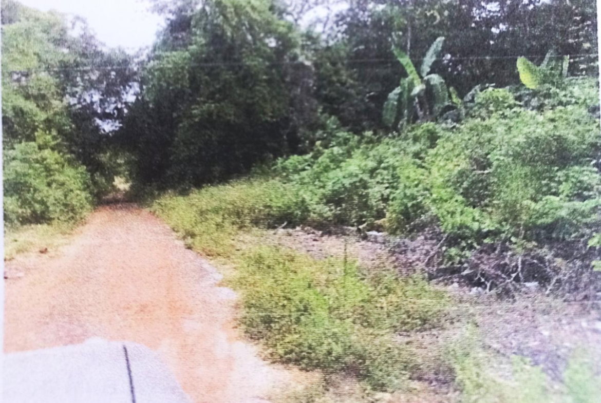 Third image of Lot#145-puie Drive Cardiff Hall, St. Ann in Runaway Bay, St. Ann, Jamaica - property is For Sale