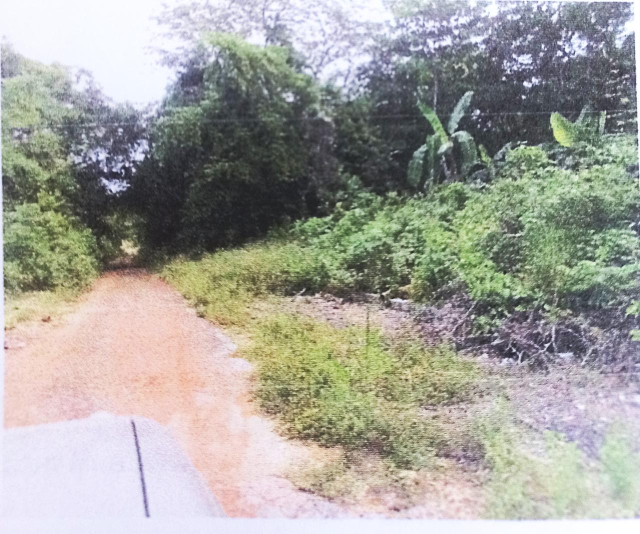 Third image of Lot#145-puie Drive Cardiff Hall, St. Ann in Runaway Bay, St. Ann, Jamaica - property is For Sale