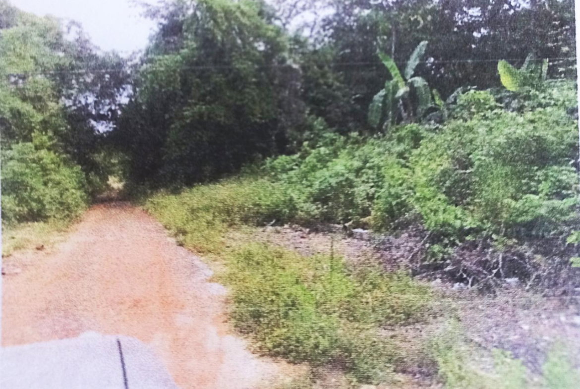 Fourth image of Lot#145-puie Drive Cardiff Hall, St. Ann in Runaway Bay, St. Ann, Jamaica - property is For Sale