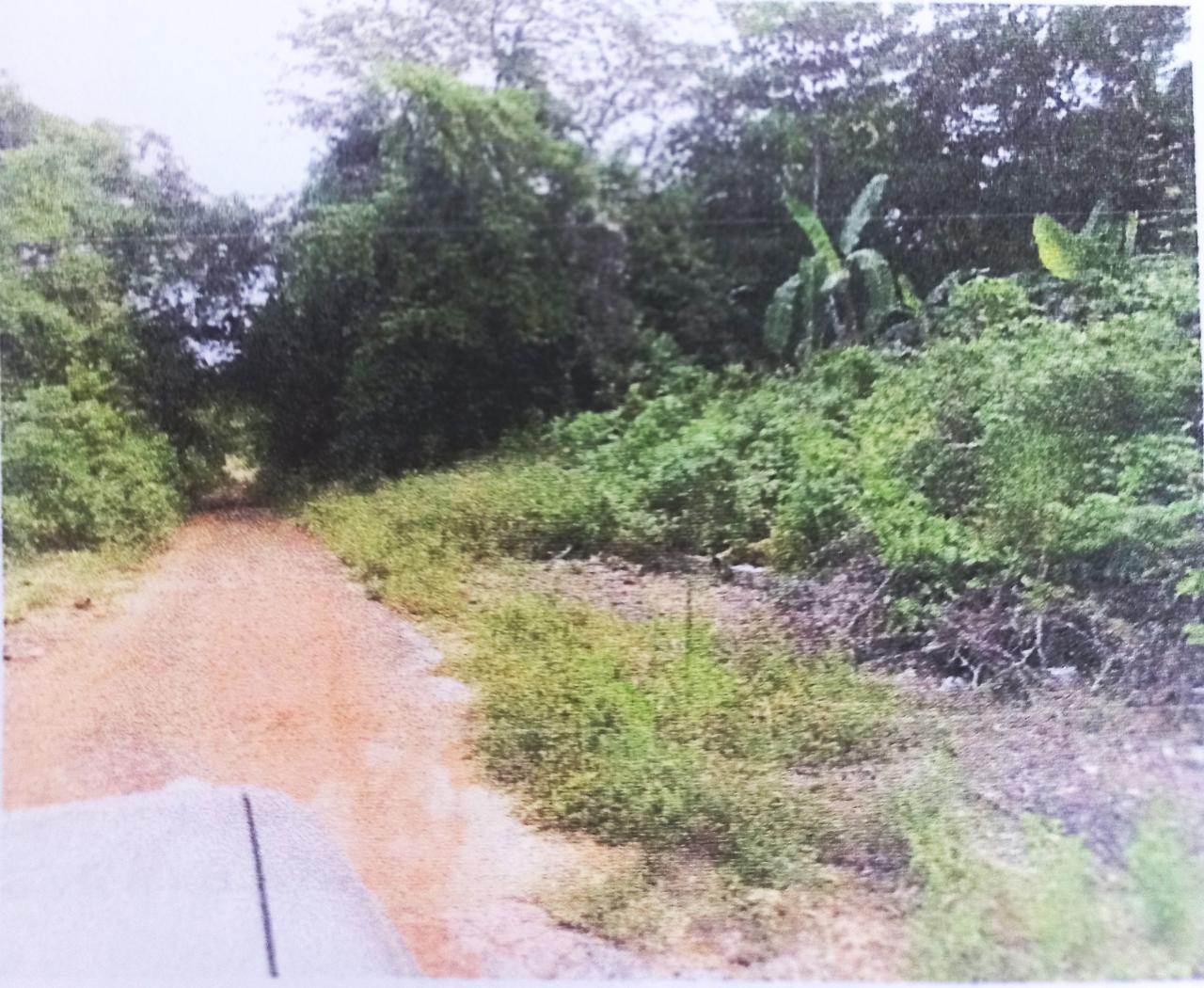 Fourth image of Lot#145-puie Drive Cardiff Hall, St. Ann in Runaway Bay, St. Ann, Jamaica - property is For Sale