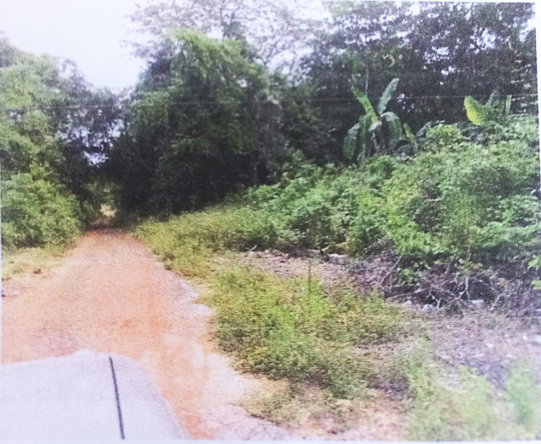 Fourth image of Lot#145-puie Drive Cardiff Hall, St. Ann in Runaway Bay, St. Ann, Jamaica - property is For Sale