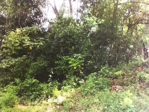 First image of Lot#145-puie Drive Cardiff Hall, St. Ann in Runaway Bay, St. Ann, Jamaica - property is For Sale