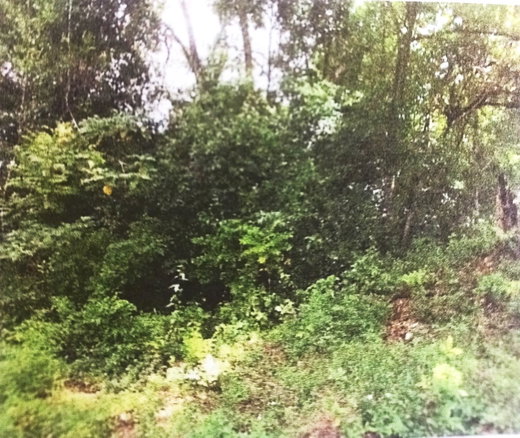 First image of Lot#145-puie Drive Cardiff Hall, St. Ann in Runaway Bay, St. Ann, Jamaica - property is For Sale