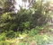First image of Lot#145-puie Drive Cardiff Hall, St. Ann in Runaway Bay, St. Ann, Jamaica - property is For Sale