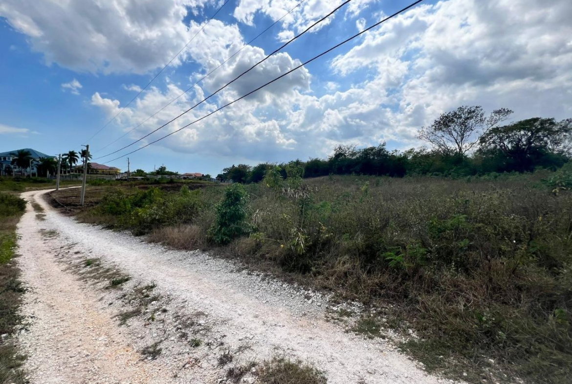 Sixth image of Lot 11 Chateau May Pen in May Pen, Clarendon, Jamaica - property is For Sale