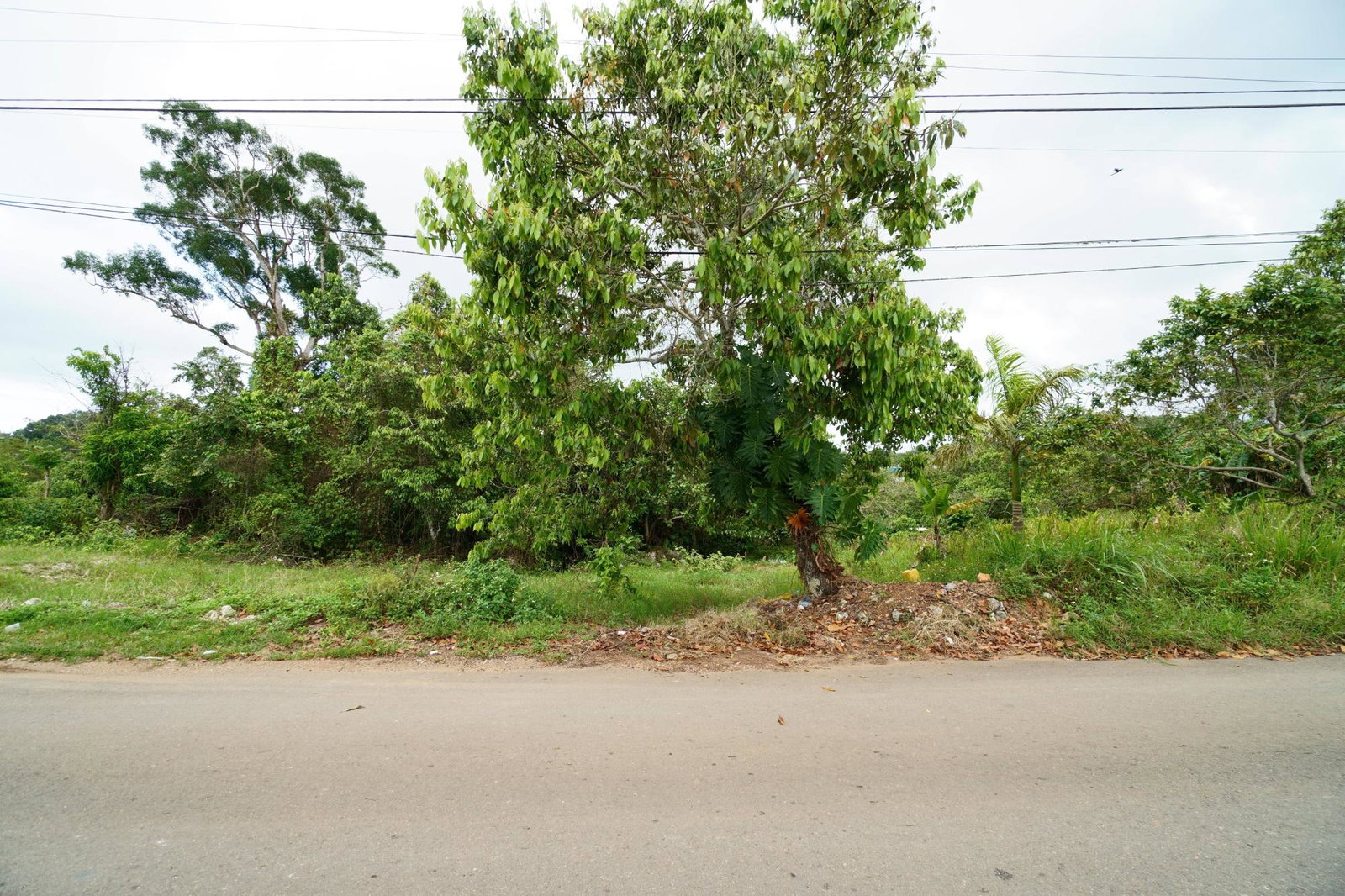 Third image of 17 Chippenham, Bamboo in Bamboo, St. Ann, Jamaica - property is For Sale