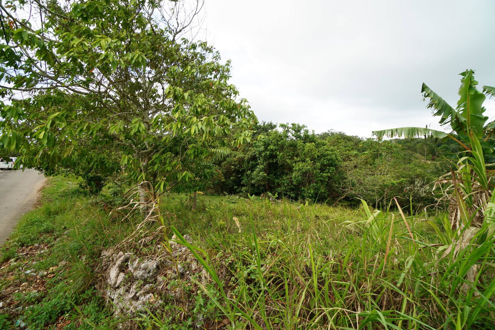 Sixth image of 17 Chippenham, Bamboo in Bamboo, St. Ann, Jamaica - property is For Sale