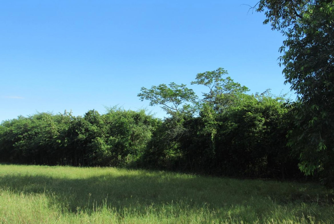 Third image of 13- Green Park in May Pen, Clarendon, Jamaica - property is For Sale