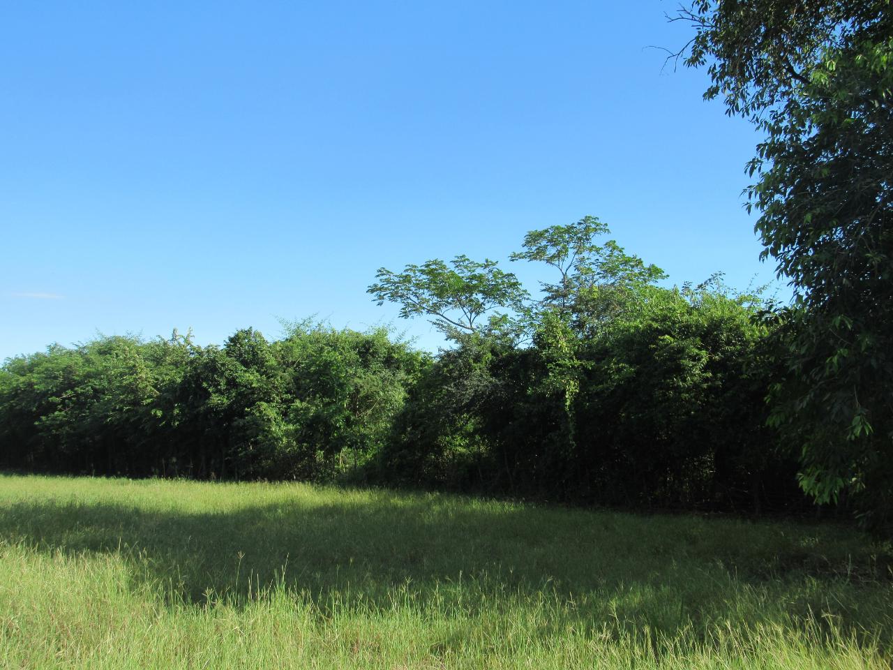 Third image of 13- Green Park in May Pen, Clarendon, Jamaica - property is For Sale
