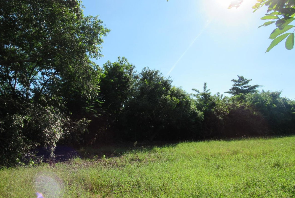 Fourth image of 13- Green Park in May Pen, Clarendon, Jamaica - property is For Sale