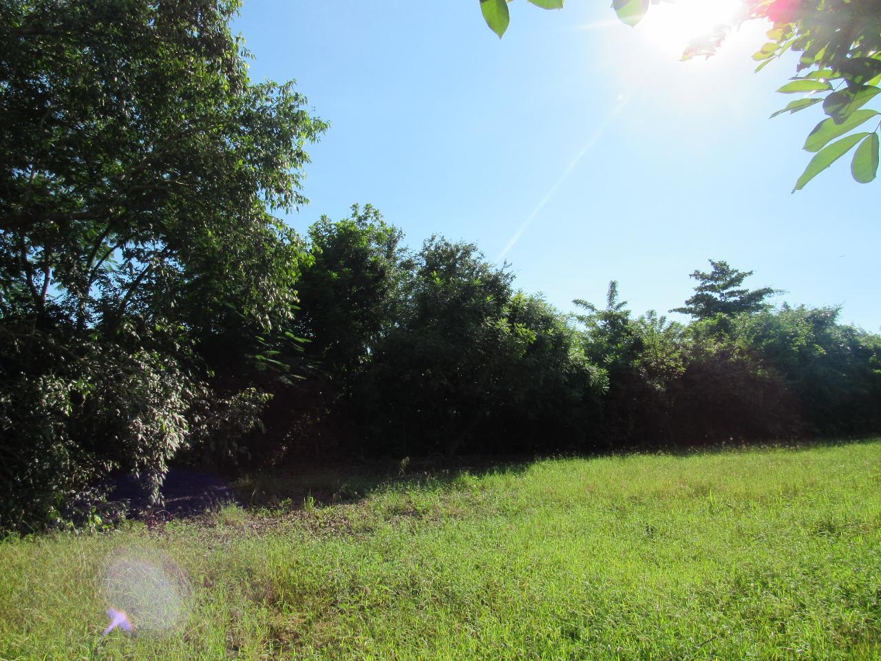 Fourth image of 13- Green Park in May Pen, Clarendon, Jamaica - property is For Sale