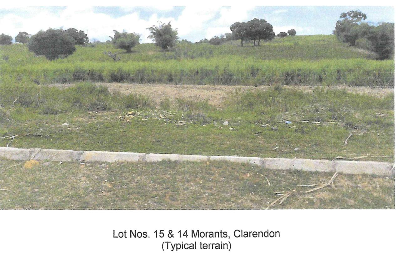 Second image of Lot 16 Part of Morant, Clarendon in Crofts Hill, Clarendon, Jamaica - property is For Sale