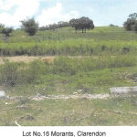 First image of Lot 16 Part of Morant, Clarendon in Crofts Hill, Clarendon, Jamaica - property is For Sale