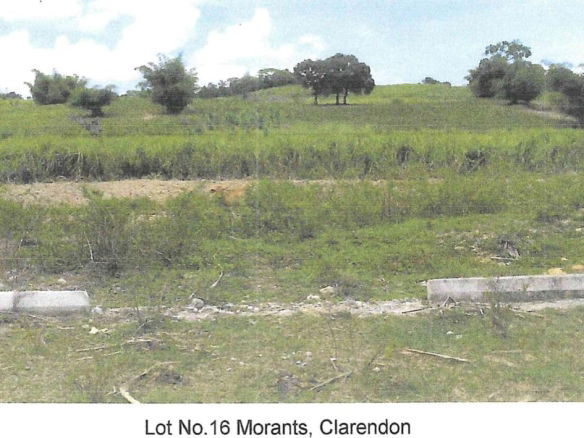 First image of Lot 16 Part of Morant, Clarendon in Crofts Hill, Clarendon, Jamaica - property is For Sale