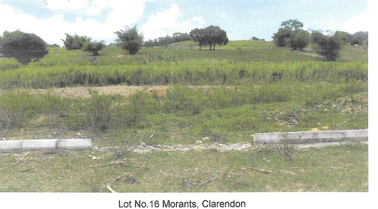 First image of Lot 16 Part of Morant, Clarendon in Crofts Hill, Clarendon, Jamaica - property is For Sale