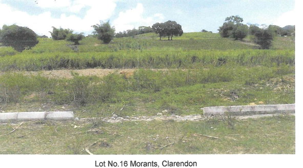 First image of Lot 16 Part of Morant, Clarendon in Crofts Hill, Clarendon, Jamaica - property is For Sale