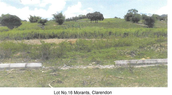First image of Lot 16 Part of Morant, Clarendon in Crofts Hill, Clarendon, Jamaica - property is For Sale