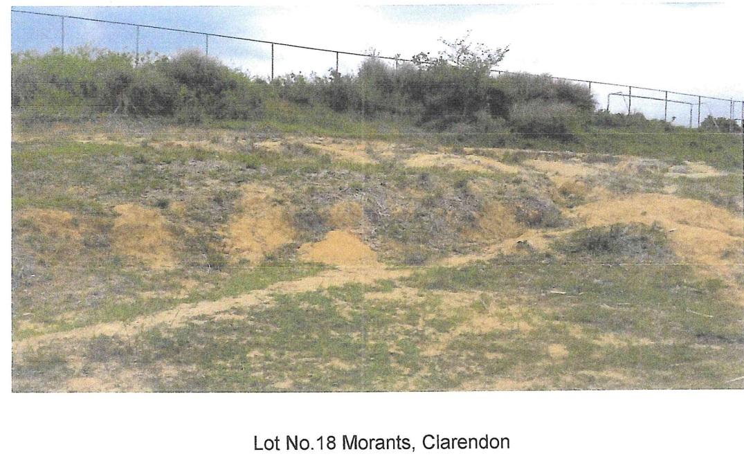 Second image of Lot 18 Part of Morants, Crofts h in Crofts Hill, Clarendon, Jamaica - property is For Sale
