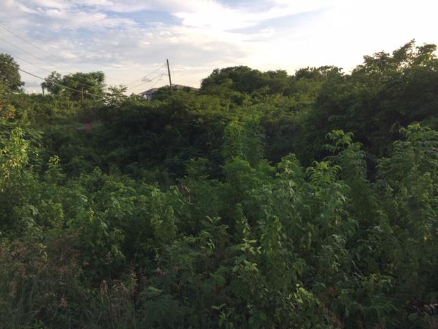 Second image of Treadlight, Evans Heights in May Pen, Clarendon, Jamaica - property is For Sale