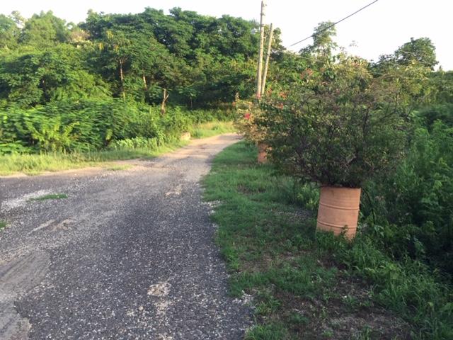 Third image of Treadlight, Evans Heights in May Pen, Clarendon, Jamaica - property is For Sale