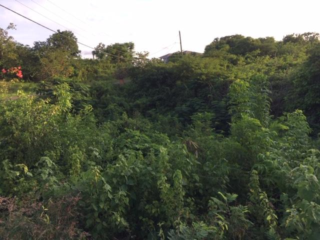 Fourth image of Treadlight, Evans Heights in May Pen, Clarendon, Jamaica - property is For Sale