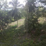 First image of Spring Gardens, Reading in Reading, St. James, Jamaica - property is For Sale