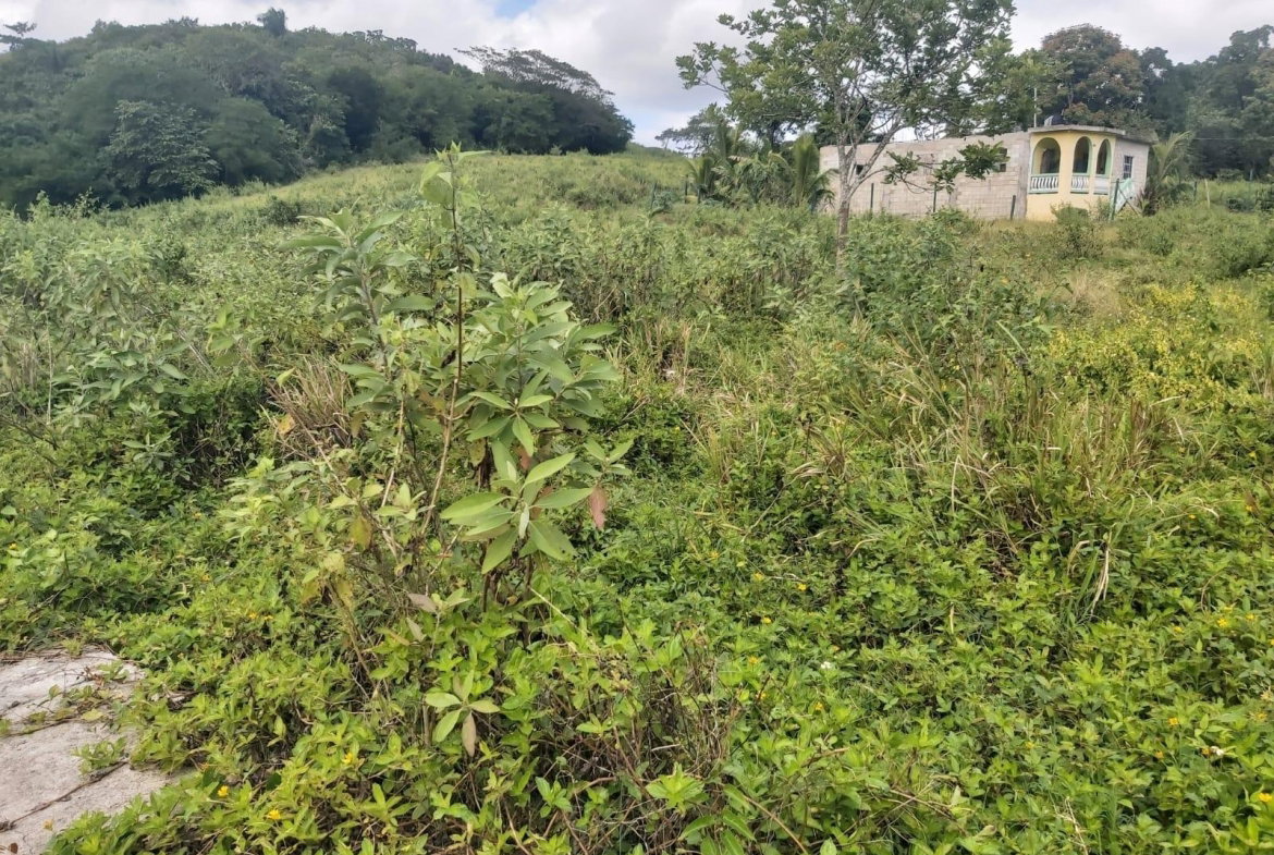 Second image of Lot #6 Content Adelphi in Adelphi, St. James, Jamaica - property is For Sale