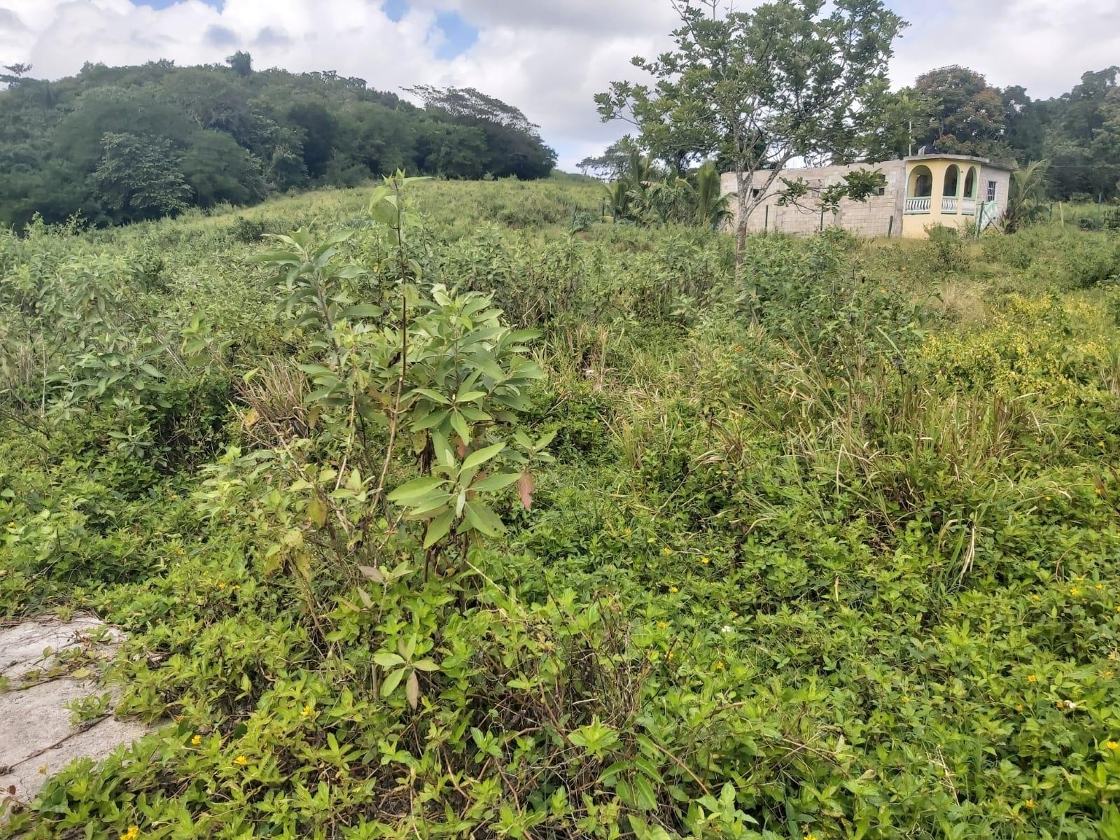 Second image of Lot #6 Content Adelphi in Adelphi, St. James, Jamaica - property is For Sale
