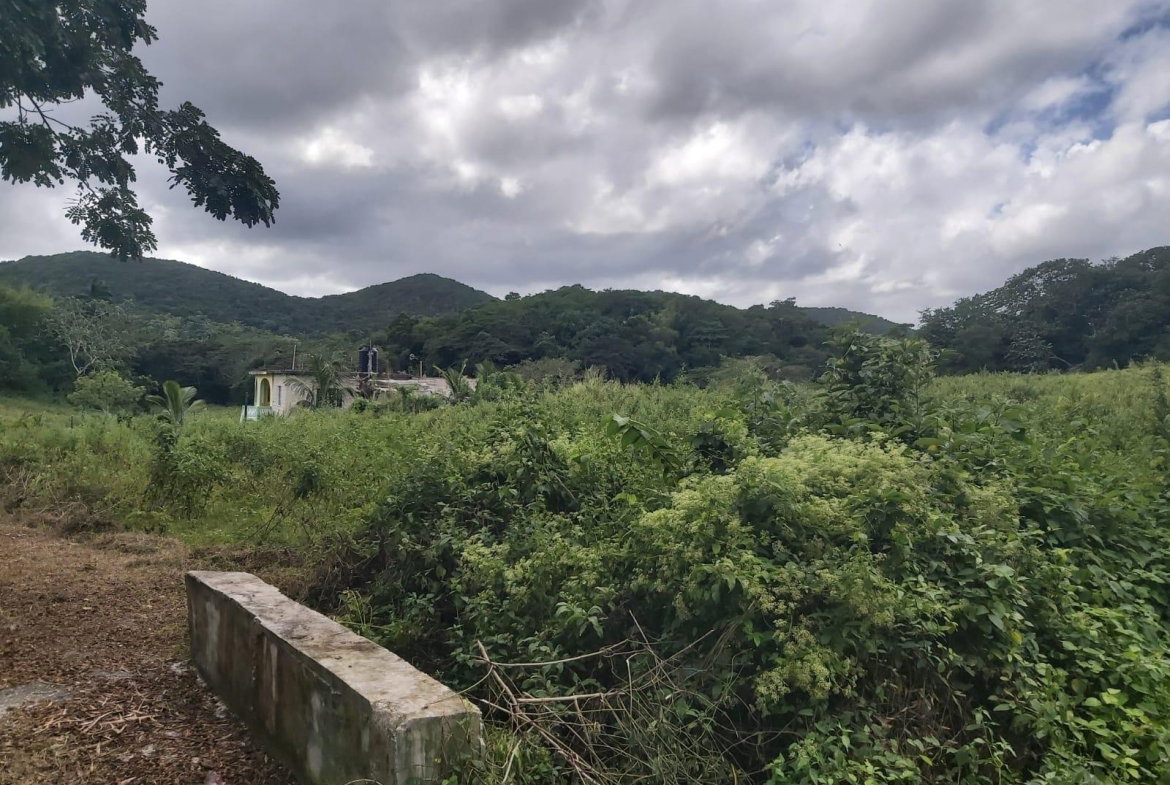 First image of Lot #6 Content Adelphi in Adelphi, St. James, Jamaica - property is For Sale