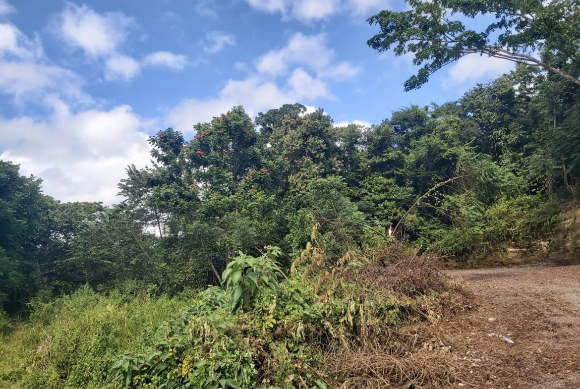 Fifth image of Lot #6 Content Adelphi in Adelphi, St. James, Jamaica - property is For Sale