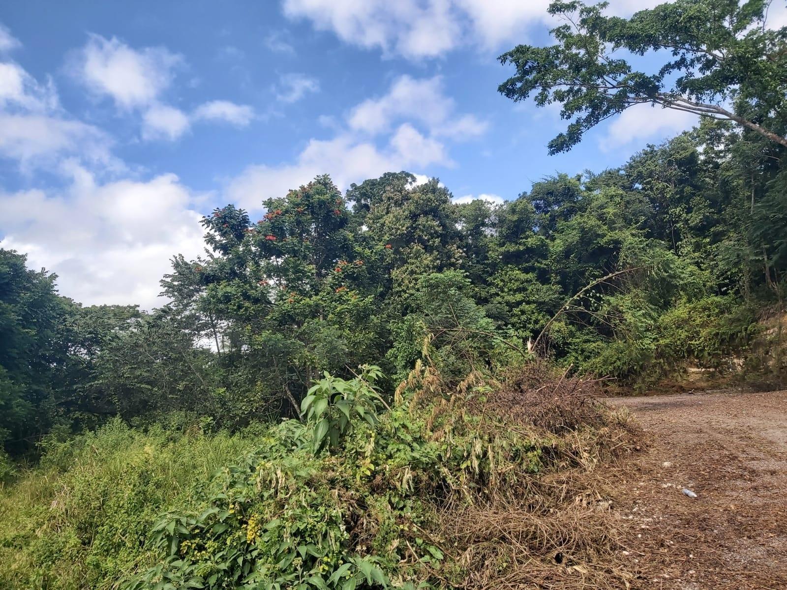 Fifth image of Lot #6 Content Adelphi in Adelphi, St. James, Jamaica - property is For Sale