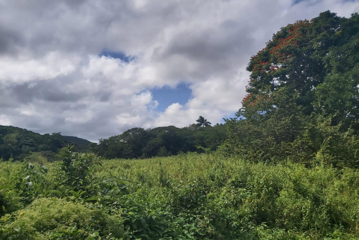 Sixth image of Lot #6 Content Adelphi in Adelphi, St. James, Jamaica - property is For Sale