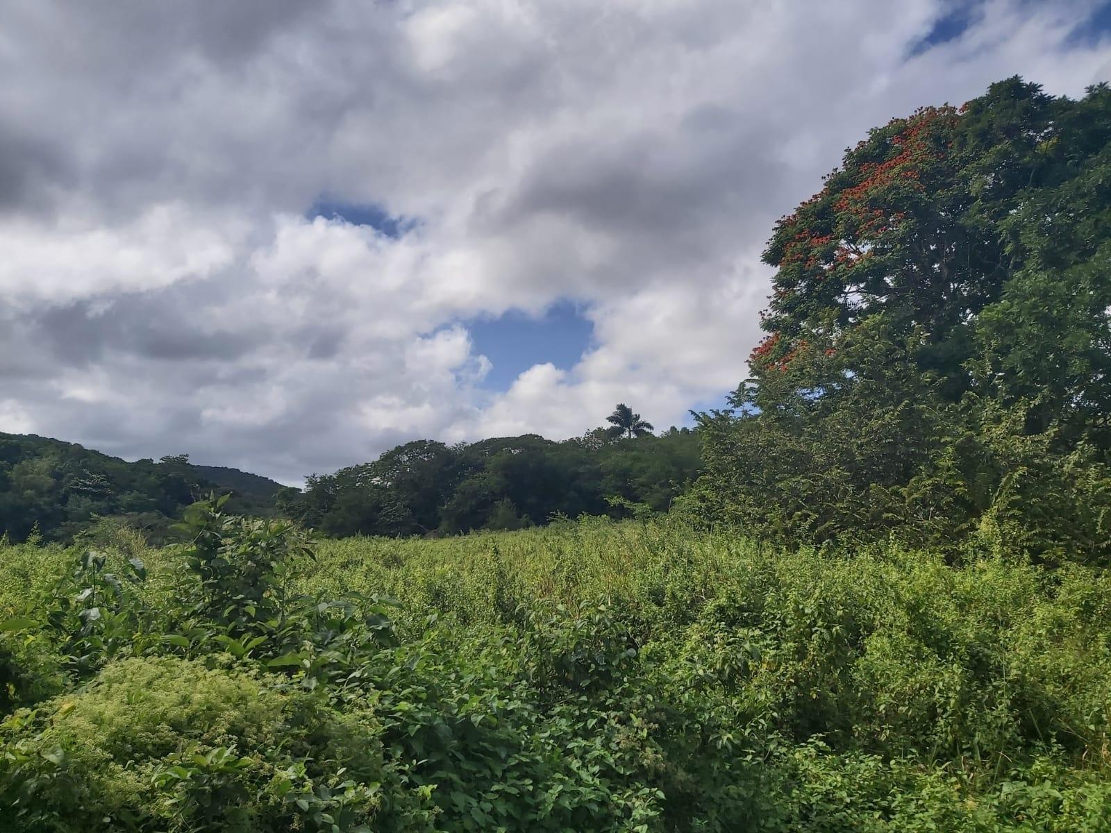 Sixth image of Lot #6 Content Adelphi in Adelphi, St. James, Jamaica - property is For Sale