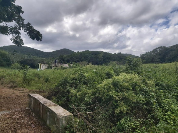 First image of Lot #6 Content Adelphi in Adelphi, St. James, Jamaica - property is For Sale