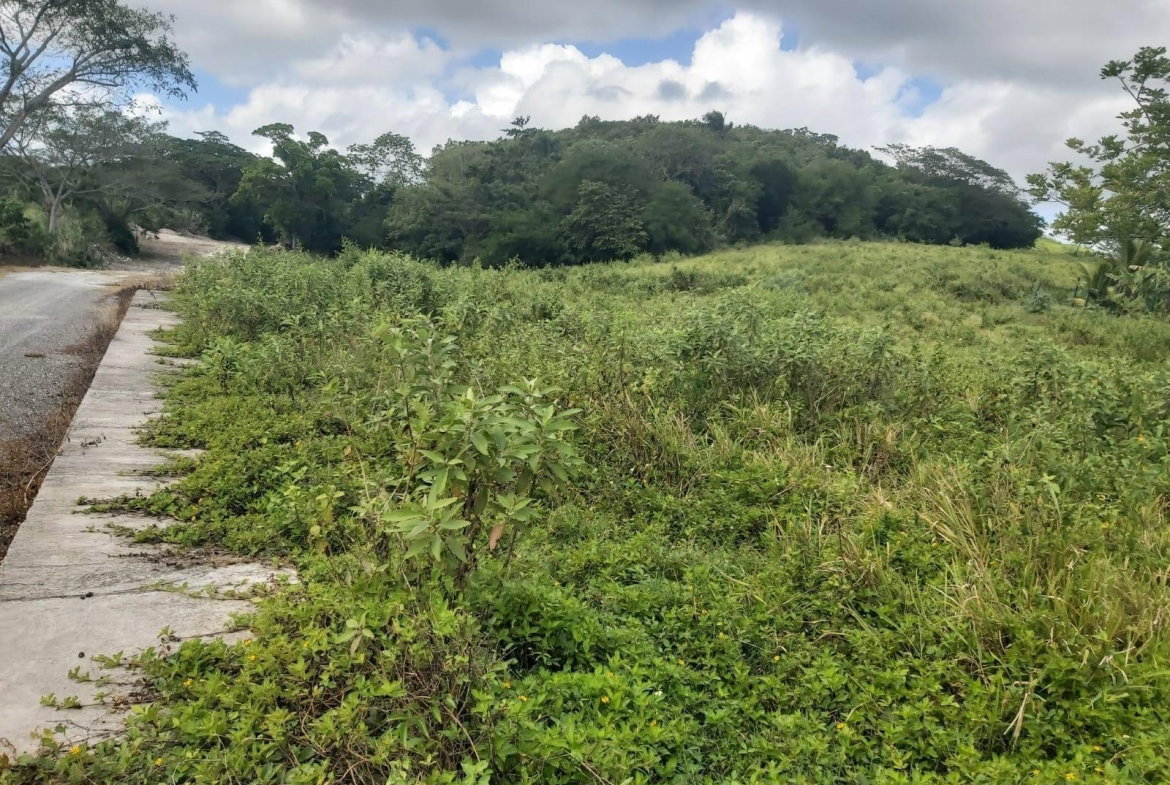 Seventh image of Lot #6 Content Adelphi in Adelphi, St. James, Jamaica - property is For Sale
