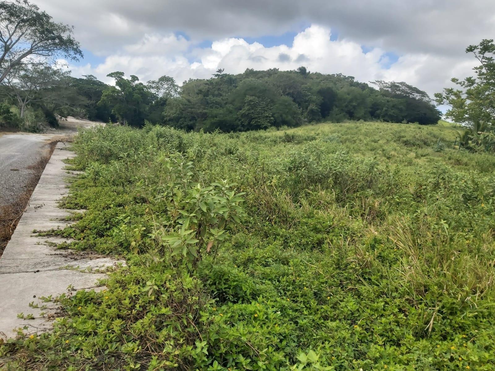 Seventh image of Lot #6 Content Adelphi in Adelphi, St. James, Jamaica - property is For Sale