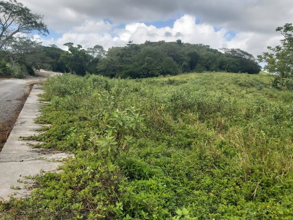 Seventh image of Lot #6 Content Adelphi in Adelphi, St. James, Jamaica - property is For Sale