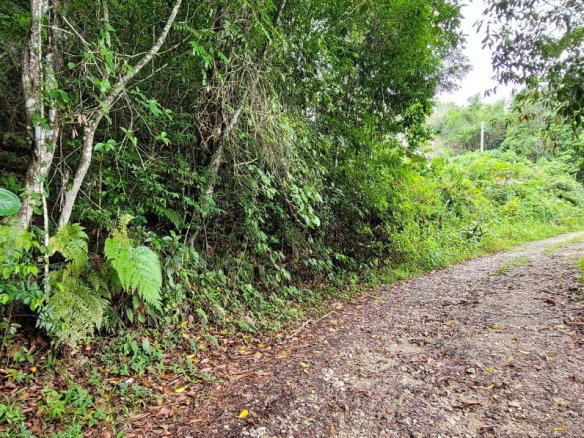 First image of 85 Coopers Hill in Kingston 19, St. Andrew, Jamaica - property is For Sale