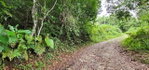 First image of 85 Coopers Hill in Kingston 19, St. Andrew, Jamaica - property is For Sale