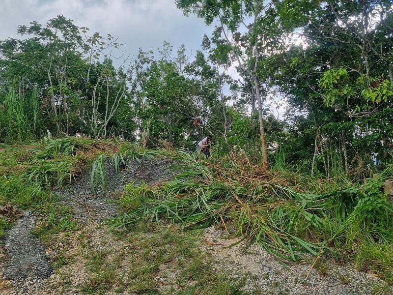 Second image of 38 Coopers Hill in Red Hills, St. Andrew, Jamaica - property is For Sale